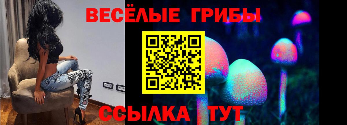 Зеленогорск  Галлюциногенные грибы Magic Shrooms  Вход с VPN  Псилоцибиновые грибы Magic Shrooms 