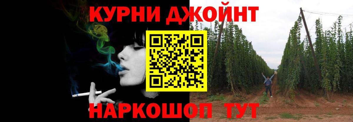 Зеленогорск  Марихуана MAZAR  Бошки Шишки план  Вход с VPN  Марихуана Bruce Banner  Бошки Шишки сатива 